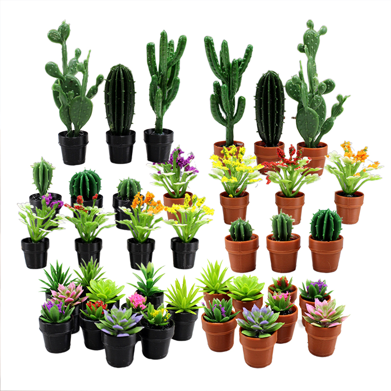 Echeveria Succulent - 8 Peças de Plantas em Vasos