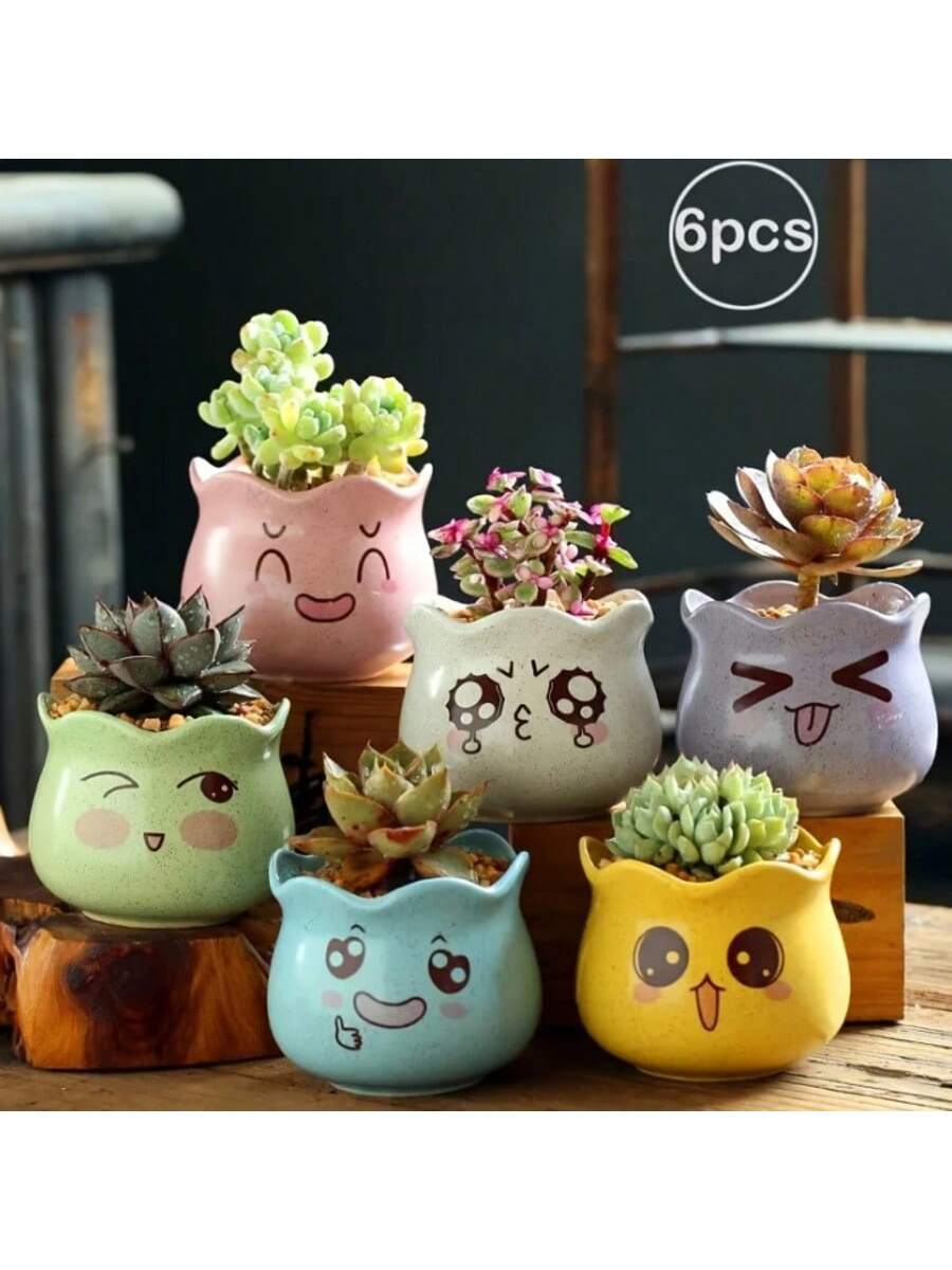 Conjunto de 6 Vasos de Cerâmic - Echeveria Succulent avaliação e preço