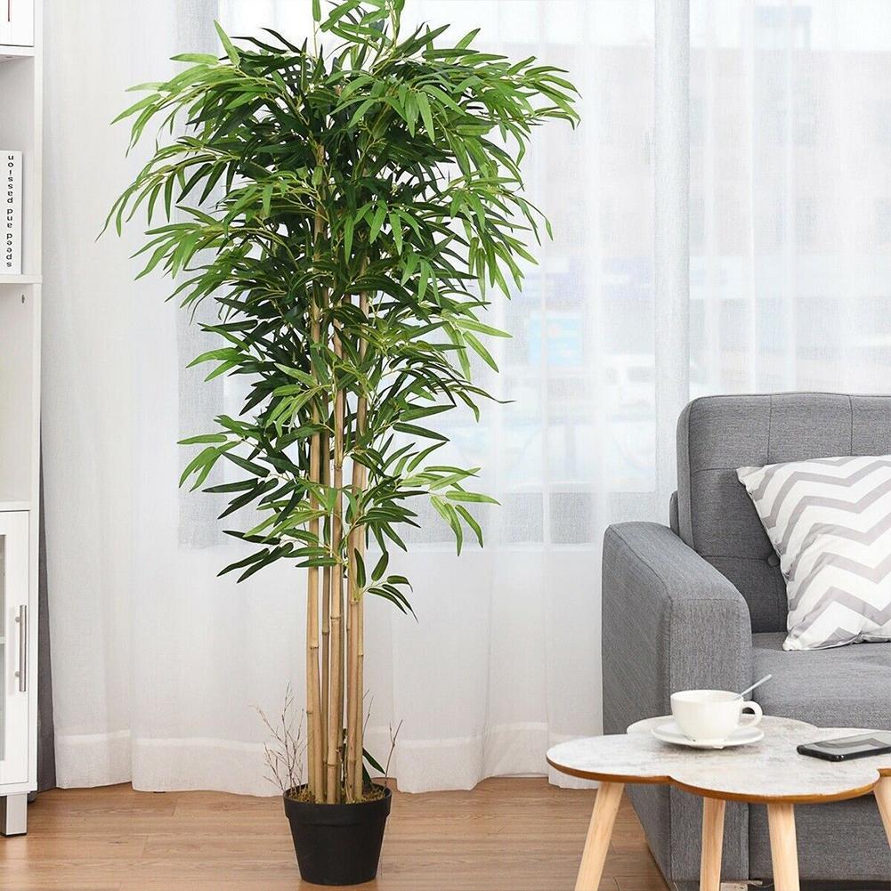 10 pçs folhas de bambu verde a - Ficus Lyrata Tree avaliação e preço