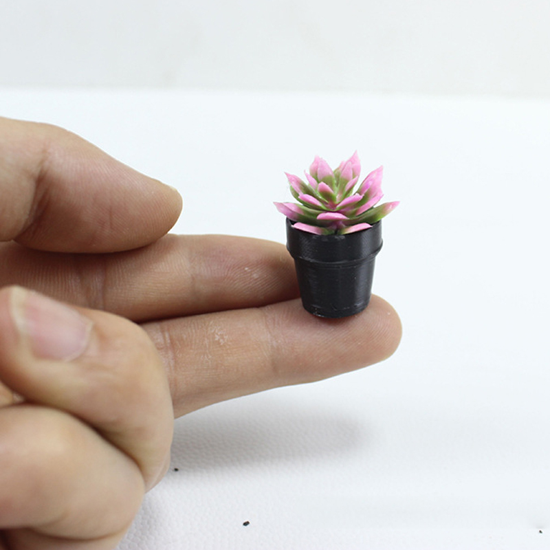 8 Peças de Plantas em Vasos de - Echeveria Succulent avaliação e preço