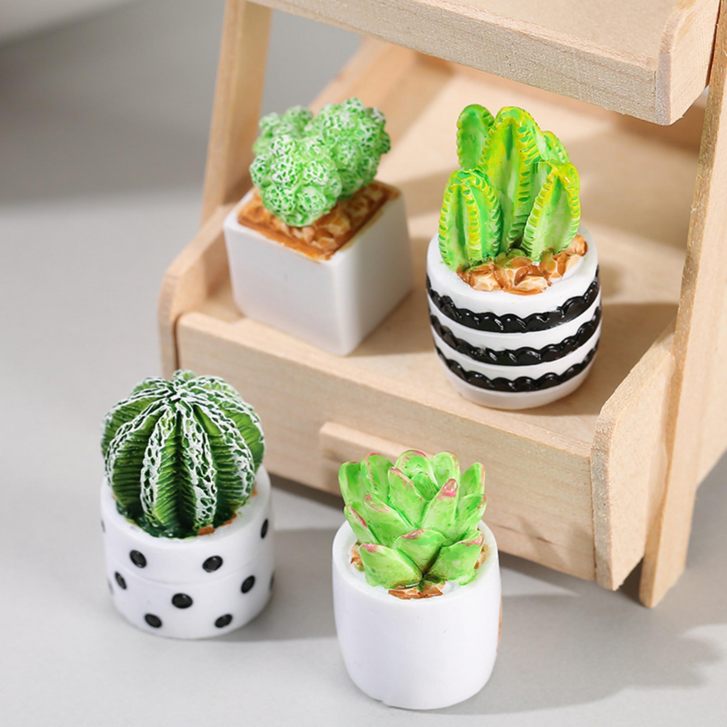 Conjunto de 4 Peças de Plantas - Echeveria Succulent avaliação e preço